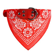 bandana chien rouge motif cachemire