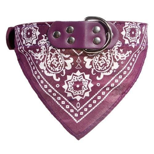 bandana chien violet motif cachemire