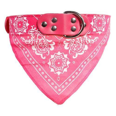 bandana chien rose motif cachemire